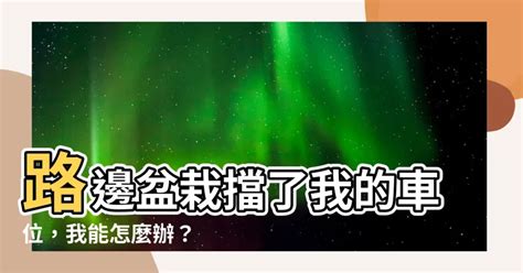 馬路放花盆|路邊「花盆佔車位」！直接搬動怕觸法 內行教2步驟可停 